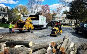 Best Tree Mulching  in Willow, AK